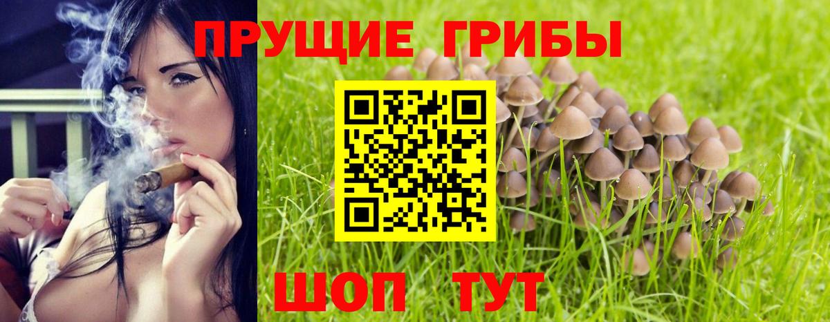 Камышин  Галлюциногенные грибы Magic Shrooms  Вход с VPN 